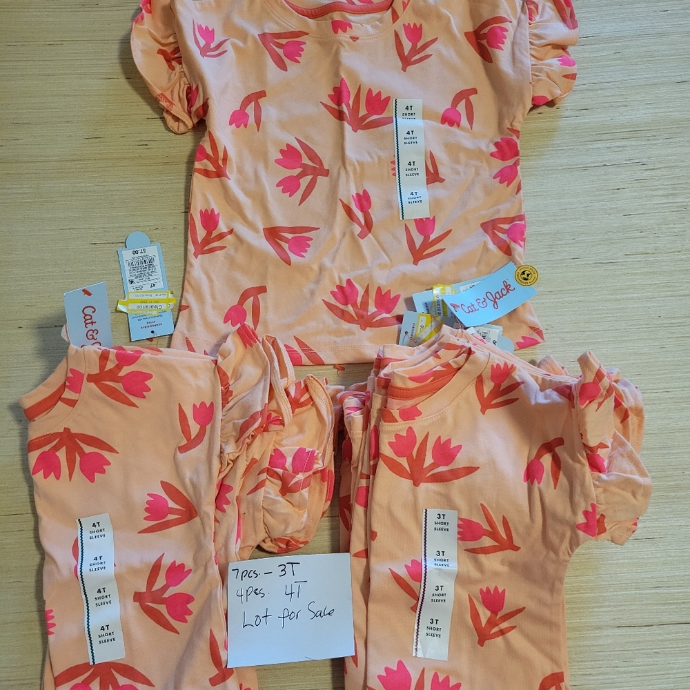 Lot Bundle 10 Piece Kids Girls' Floral Peach Top Set 3T, 4T